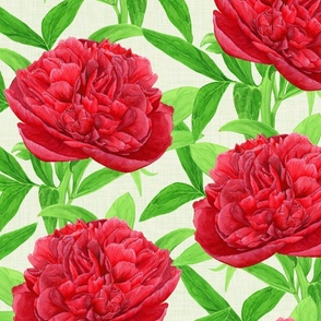 Elegant Watercolour Red Peony - Large Scale