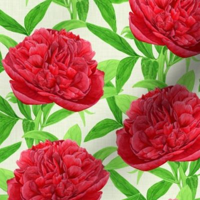 Elegant Watercolour Red Peony - Small Scale