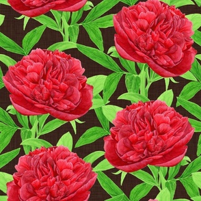 Elegant Watercolour Red Peony on Brown - Medium Scale