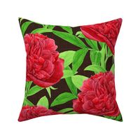 Elegant Watercolour Red Peony on Brown - Large Scale