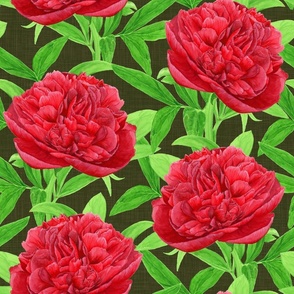 Elegant Watercolour Red Peony on Moss - Medium Scale