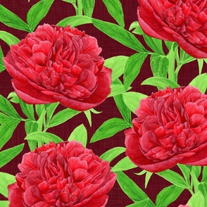 Elegant Watercolour Red Peony on Burgundy - Large Scale