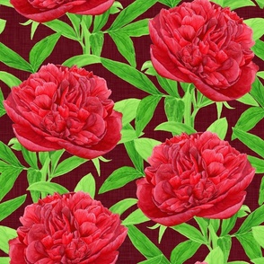 Elegant Watercolour Red Peony on Burgundy - Medium Scale