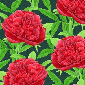 Elegant Watercolour Red Peony on Emerald Green - Large Scale