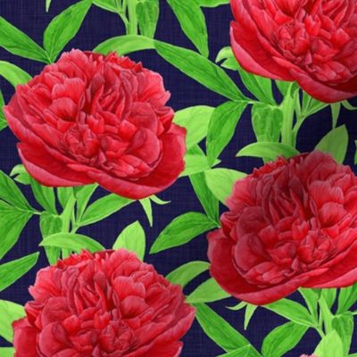 Elegant Watercolour Peony on Midnight Blue - Small Scale