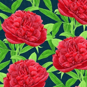 Elegant Watercolour Red Peony on Navy - Large Scale