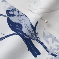 bornean falconet chinoiserie in light blue and navy