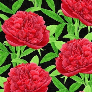 Elegant Watercolour Red Peony on Black - Large Scale