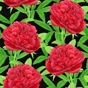 Elegant Watercolour Red Peony on Black - Medium Scale