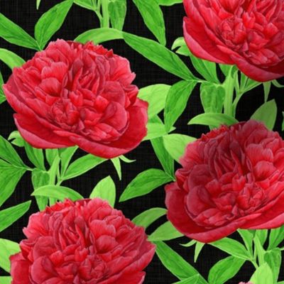 Elegant Watercolour Red Peony on Black - Small Scale