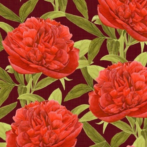 Watercolour Vintage Peony on Burgundy - Large Scale