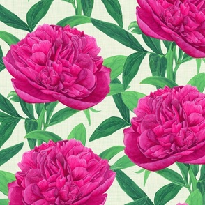  Watercolour Pink Peony on Ivory - Large Scale