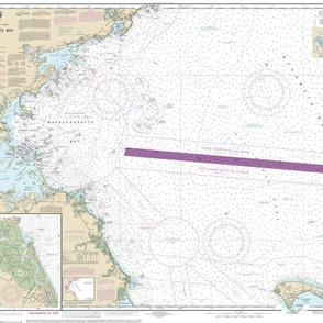 NOAA nautical chart #13267, Massachusetts Bay  (42"x33.4", fits on one yard of any fabric)