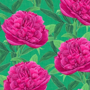  Watercolour Pink Peony on Lime Green - Large Scale