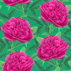  Watercolour Pink Peony on Lime Green - Medium Scale