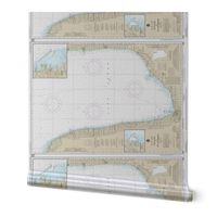 NOAA nautical chart #14862, Lake Huron: Port Huron to Pte Aux Barques  (42"x30.6", fits on one yard of any fabric)