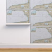 NOAA nautical chart #14862, Lake Huron: Port Huron to Pte Aux Barques  (42"x30.6", fits on one yard of any fabric)