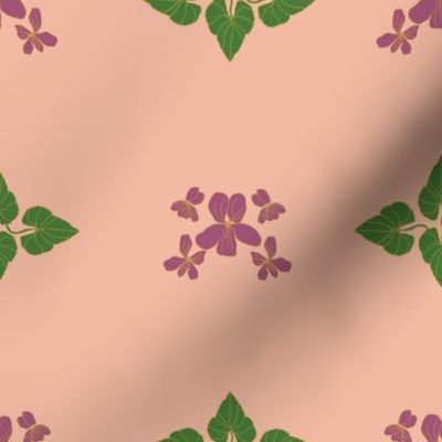 violets apricot background