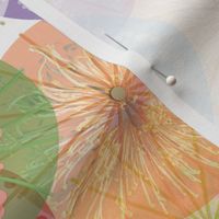 paper parasols