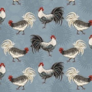 Roosters Blanc and Noir on Blue