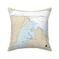 NOAA chart #14886-8 Michigan's Inland route:  Mullett Lake & Indian River (21x15.2", fits on any Fat Quarter)