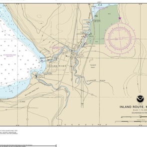 NOAA chart #14886-9 Michigan's Inland route:  Burt Lake & Indian River (21x15.2", fits on any Fat Quarter)