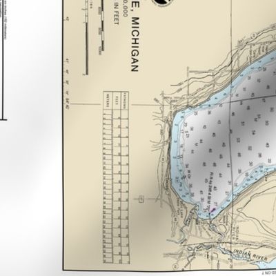 NOAA chart #14886-10 Michigan's Inland route:  Burt Lake (21"x12.5", fits on any Fat Quarter)