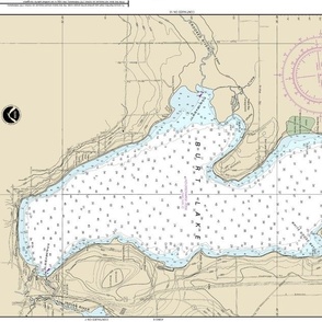 NOAA chart #14886-10 Michigan's Inland route:  Burt Lake (21"x12.5", fits on any Fat Quarter)
