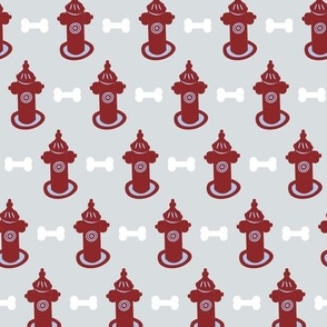 Fire hydrant and dog bone on gray background