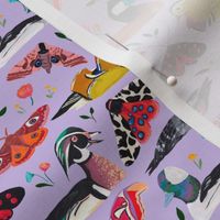 spring is in the air - colourful ducks, butterflies and florals 
