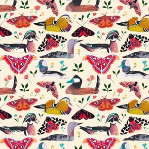 spring is in the air - colourful ducks, butterflies and florals 