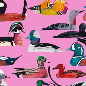 Duck Duck Duck - Vibrant Bird fabric 