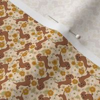 MICRO Dachshund boho floral dog fabric - boho flowers cream 2in