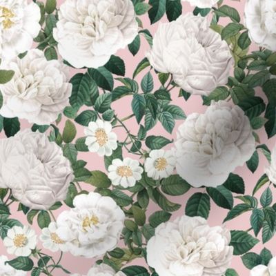 White Roses Garden Powder Pink Back