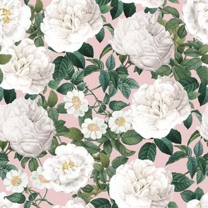 White Roses Garden Powder Pink Back
