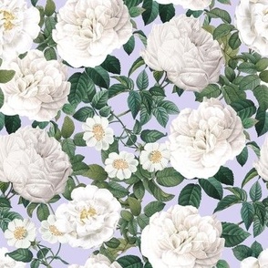 White Roses Garden  Lilac