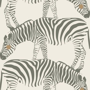 baby zebra _ creamy white, limed ash green, lion gold _ baby animal wild nursery wallpaper
