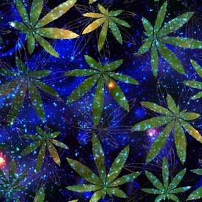 cannabis space 