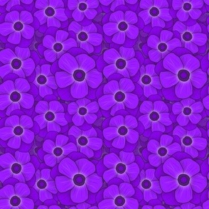 Purple Anemones Small