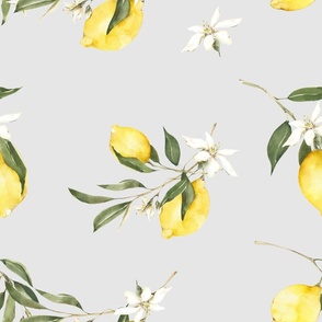 Summer,citrus ,lemon fruit,Mediterranean art 1