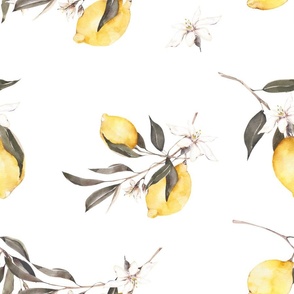 Summer,citrus ,lemon fruit,Mediterranean art