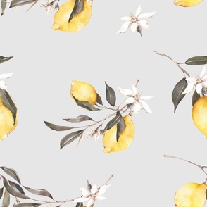 Summer,citrus ,lemon fruit,Mediterranean art2
