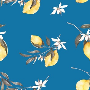 Summer,citrus ,lemon fruit,Mediterranean art