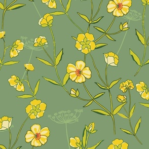 Cheerful yellow trailing buttercups on meadow green background
