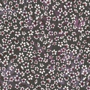 purple plum flowers warm gray 6in