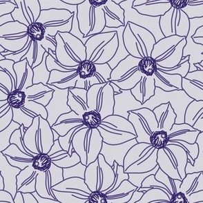 Clematis Ramona Line Art on a Gray Background.