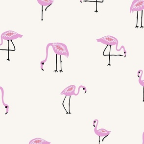 flamingos 24x24