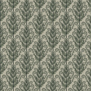 Ferns - French gray