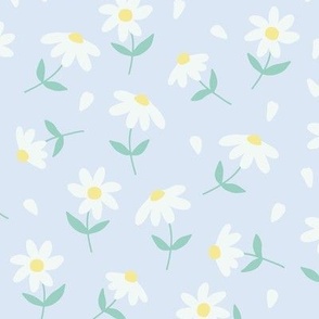 Small daisy and petals on blue background
