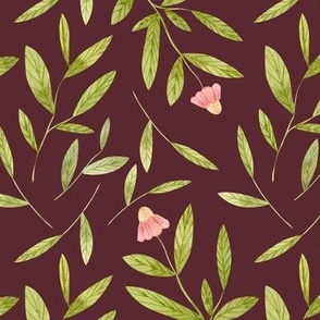 Pink Coneflower Burgundy Background